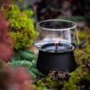 Amaryllis 10 - Afbeelding 4