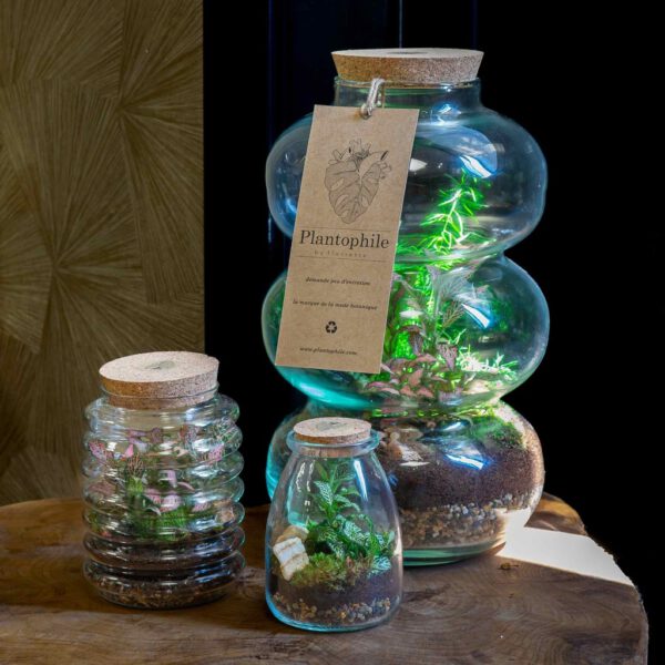 Floriëtte Terrarium