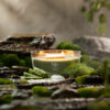 Woodwick ellipse geurkaars