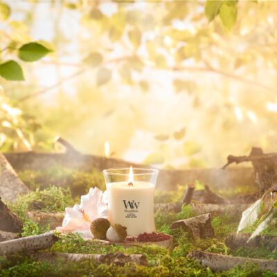 Woodwick Medium candle