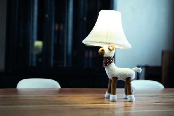 Wolle het schaap - Afbeelding 4